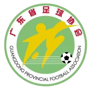广东女足U18队标,广东女足U18图片