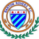 巴顿流浪者队标,巴顿流浪者图片