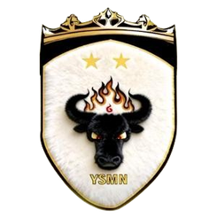 玉树牦牛队标,玉树牦牛图片